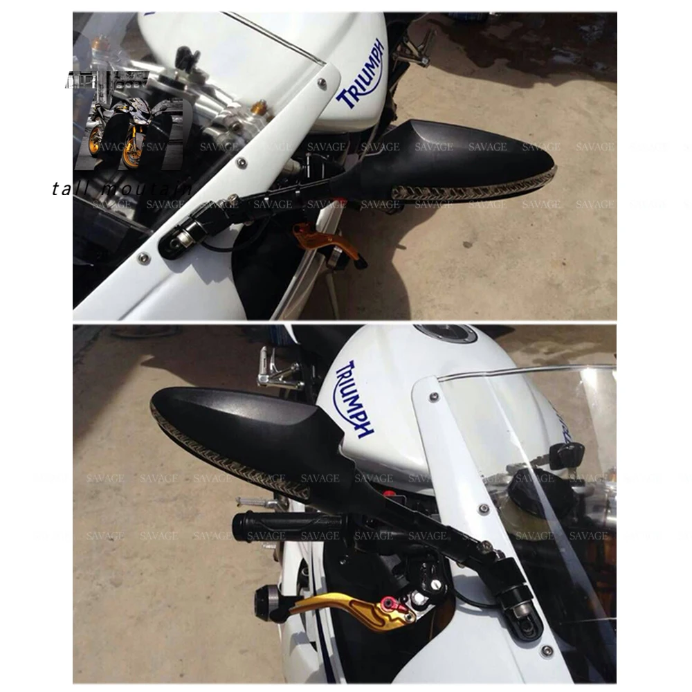 Daytona 675 (2)