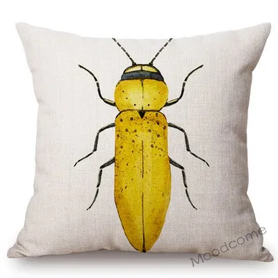 conew_n311 (1) 副本