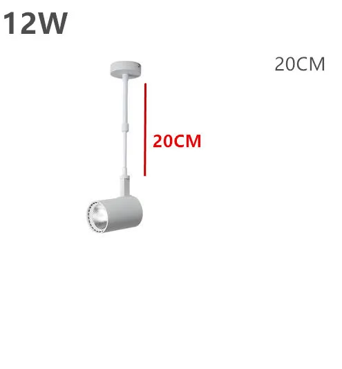 12W Современный простой потолочный длинный светильник для гостиной, спальни, зеркальный передний свадебный декоративный светильник s Shop Точечный светильник s - Цвет корпуса: 12W