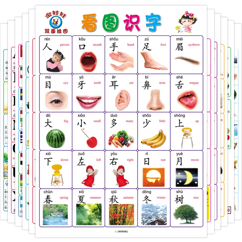 Книга для чтения детей младшего возраста Wallchart Детские познавательные грамотные