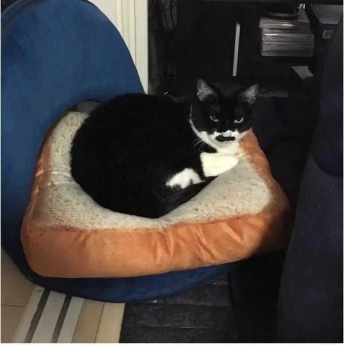 

Dogs And Cats Coaster Pet Bed Sleeping Pad Cushion by Seat Cushion 3D Printed Model Slice Bread Toast