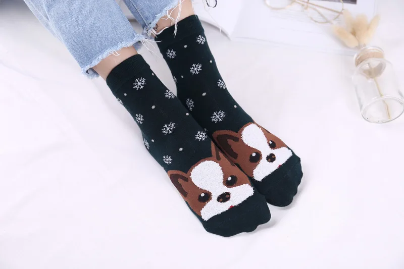 9153567268_903822819