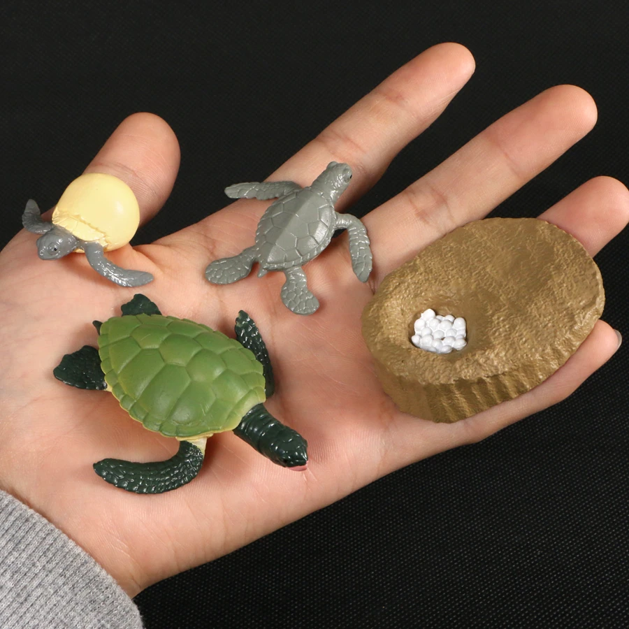 sea turtle figures