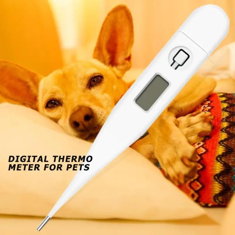 Цифровой термометр для домашних животных для полости рта подмышек Anus Cat Dog Индикатор температуры