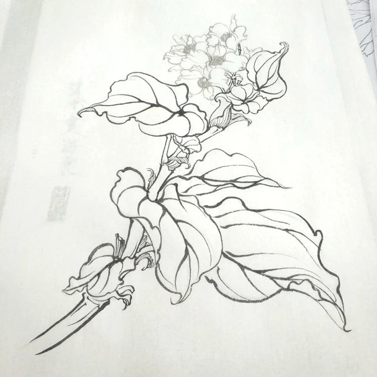 meticulosa chinesa linha fina pincel caneta pintura