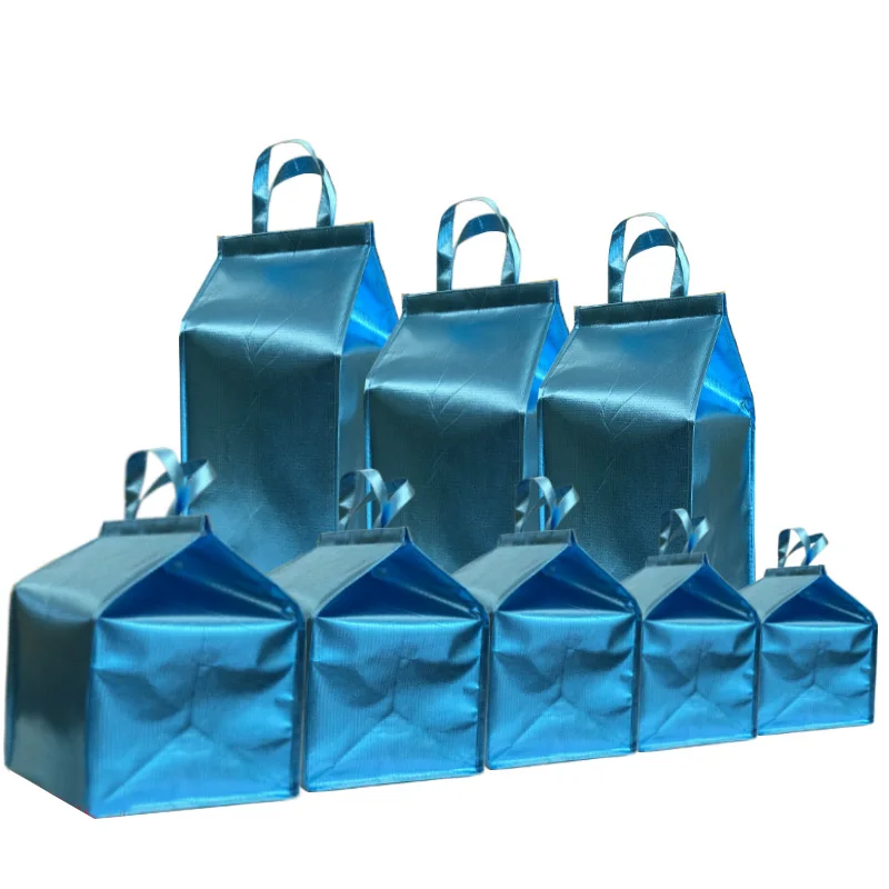Водонепроницаемая большая изолированная сумка из алюминиевой фольги, большая сумка-холодильник, сухой контейнер для упаковки пищевых продуктов, термопакеты, пакет для льда, пакеты для доставки - Цвет: 6Plus(25x25x45CM)