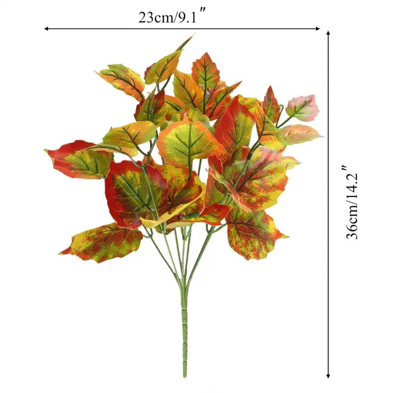 61oJm+PBn-L._SL1000_