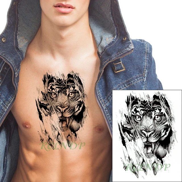 70 Tiger Scratch Tattoo Illustrations RoyaltyFree Vector Graphics  Clip  Art  iStock