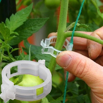 

50PCS/Set Rattan Clip Reusable Plant Support Clips Vine Vegetables Tomato Trellis Clips Garden Vegetables Grow Upright Tools