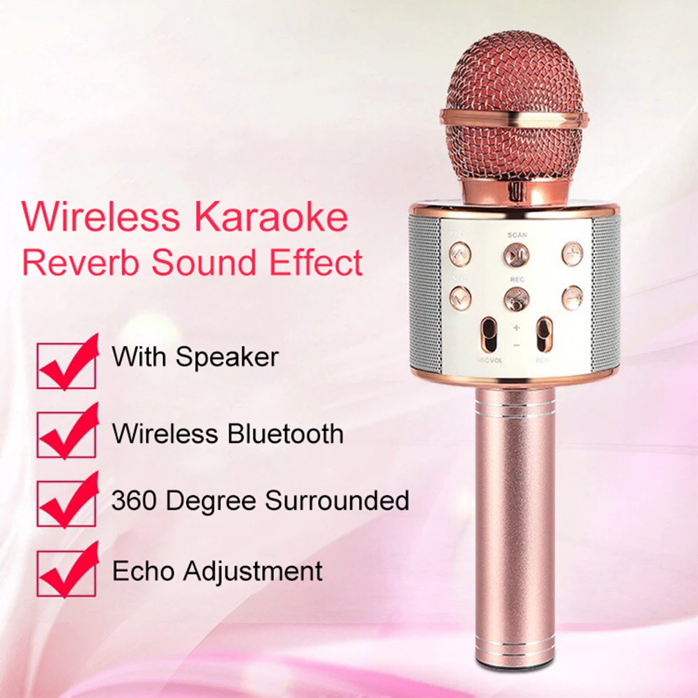 WS858 Portable Bluetooth Karaoke 
