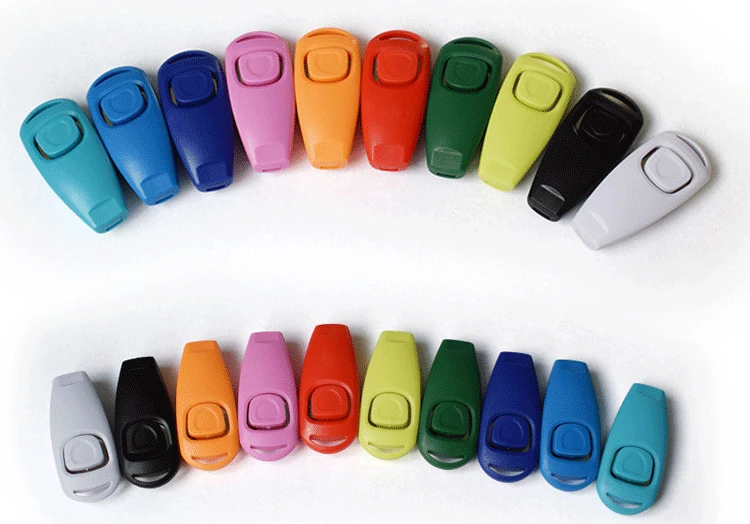 8895834221_1233581155