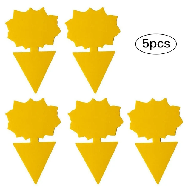 5PCS flower