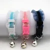 Pet Products