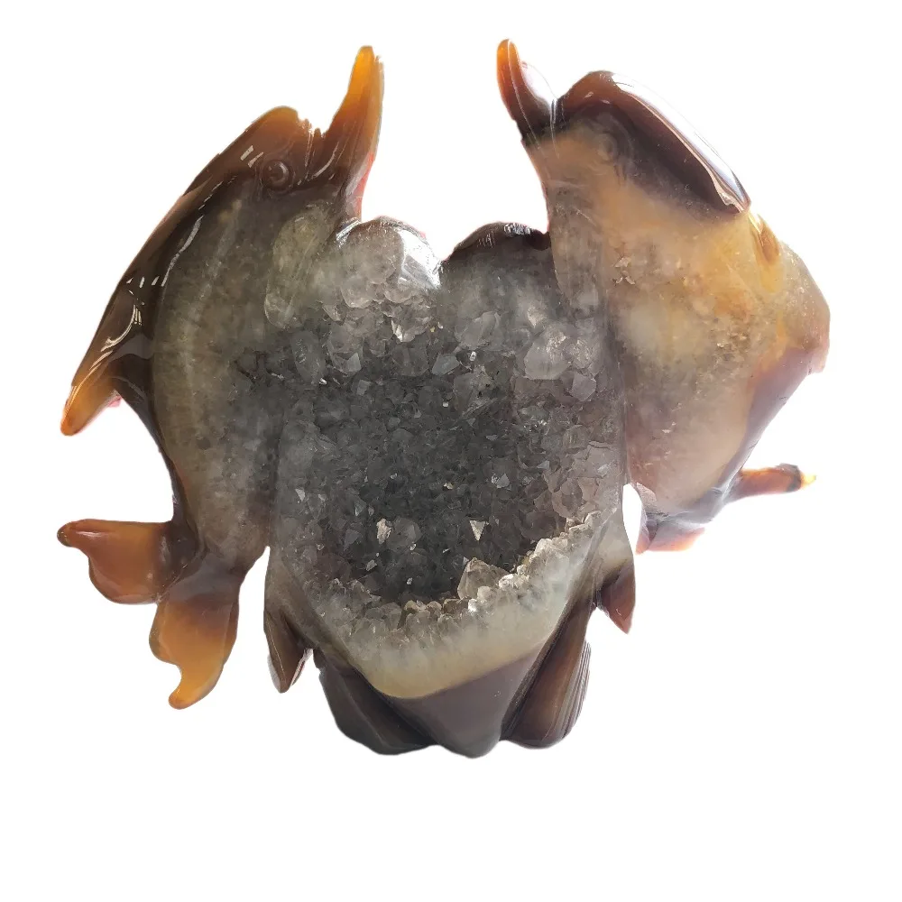 IMG_4773