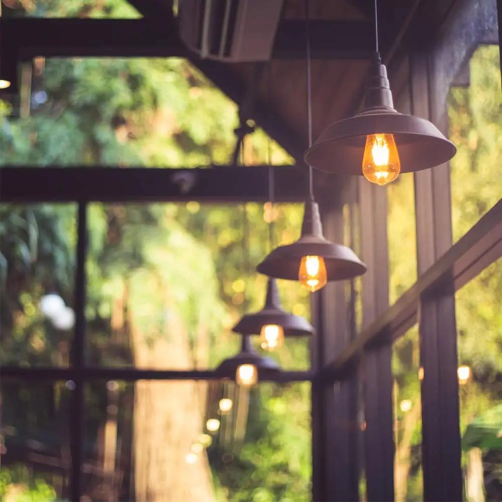 61BzLWpFIvL._SL1000_