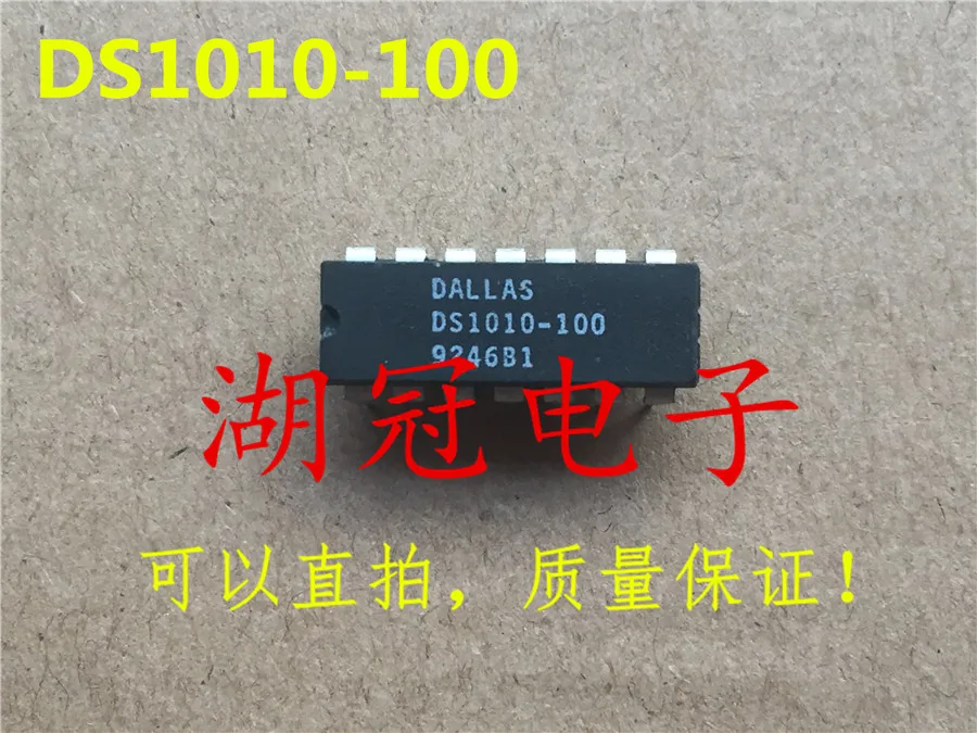 5 шт./лот DS1010-100 DIP