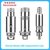 Electronic Cigarettes