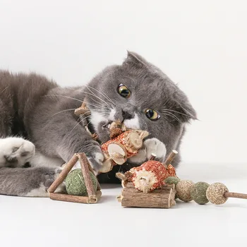 

Pet catnip toys, edible cat natural mint lollipops, household products, tooth cleaning, gastrointestinal protection