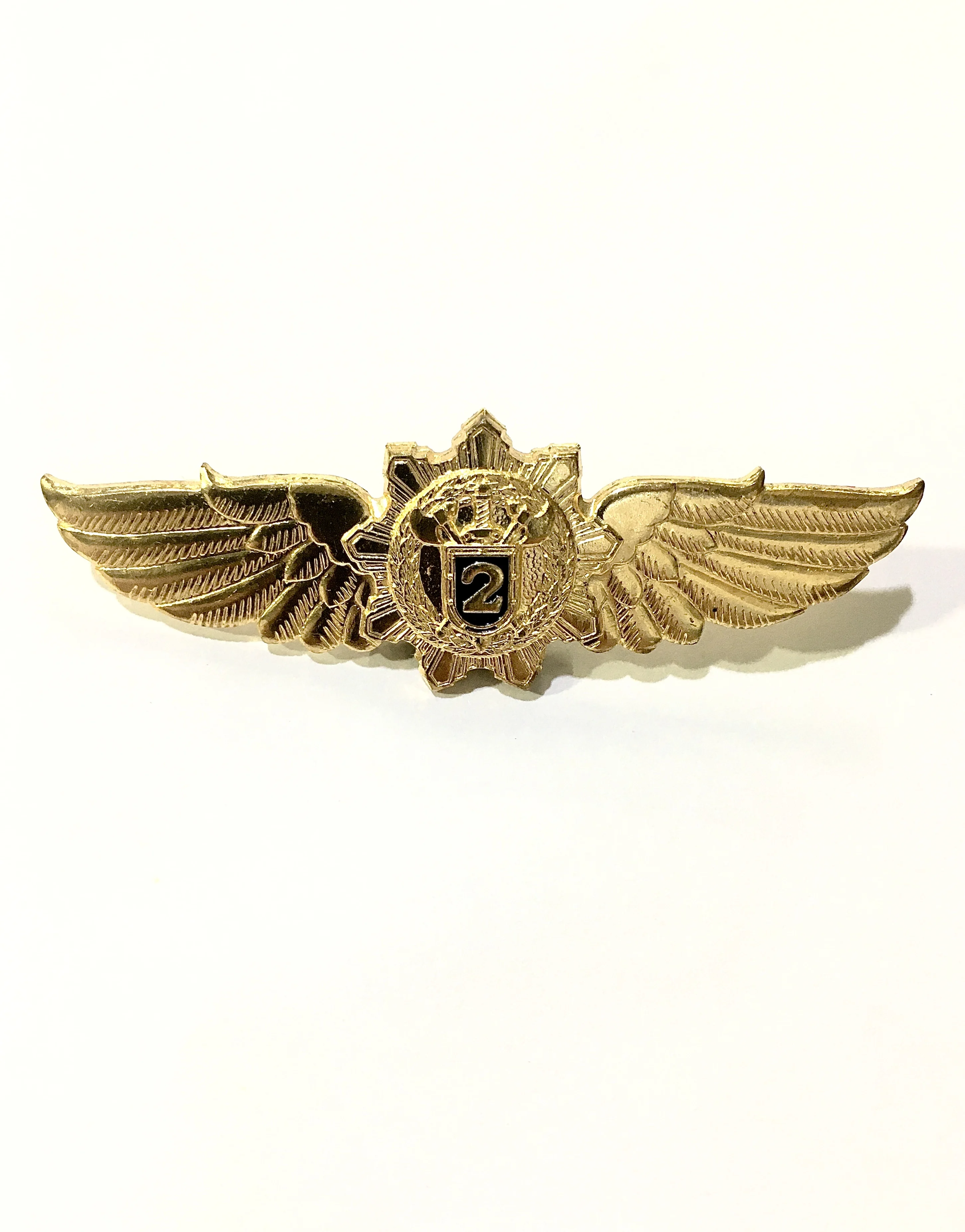 Нагрудный знак 2 классность ФС