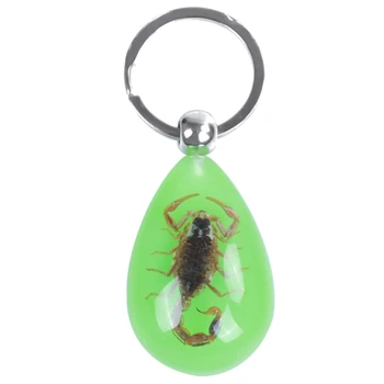 

Raindrop Shaped Scorpion Amber Pendant Split Flat Ring Keychain Adron
