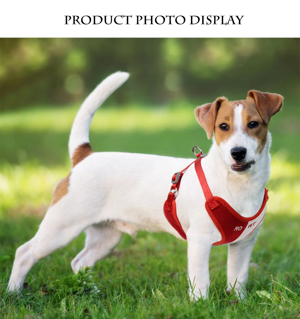 Hbd1ccb651ad14047829f253ba996600eI