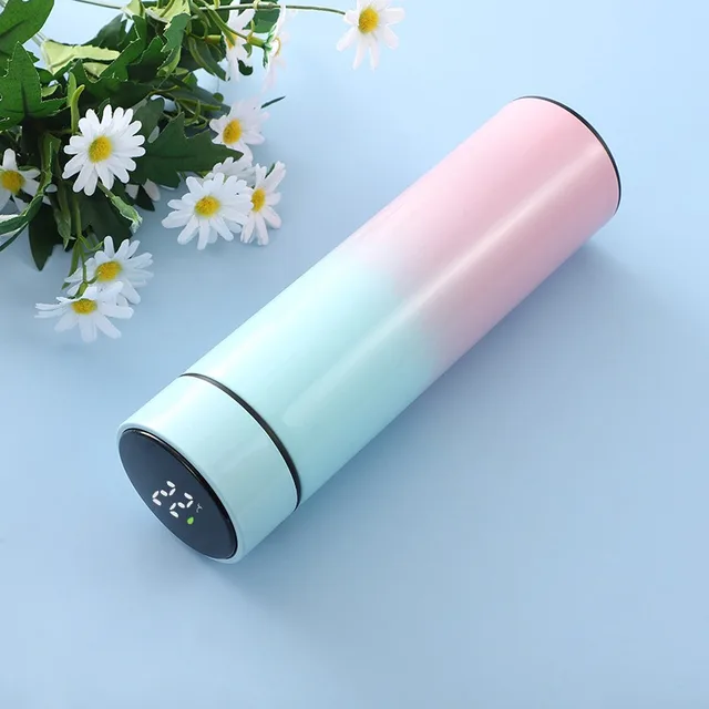 Intelligent 304 Stainless Steel Thermos With LED Temperature Display Water Bottle Vacuum Flasks Thermoses Coffee Tea Milk Cup Gradient color 1
