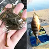 20 o 50 Uds gusano plantilla Wobblers suaves señuelos de 5cm 0,8g cola en espiral los nadadores de cebo Artificial, bajo la carpa Pesca aparejos de Pesca ► Foto 3/6