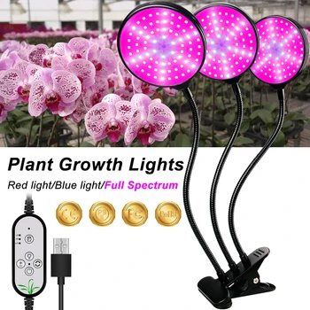 

LED Full Spectrum Phyto Grow Light USB 5V Timing Function Plant Lamp 15W 30W 45W Seedling Fito Lampada LED Flower Growing Lights