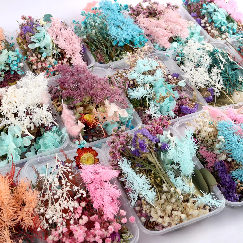 Mix Real Dried Flower Plant for Aromatherapy Candle Epoxy Resin Pendant Jewelry Pressed Flowers Craft DIY Wreath Accessories | Дом и сад