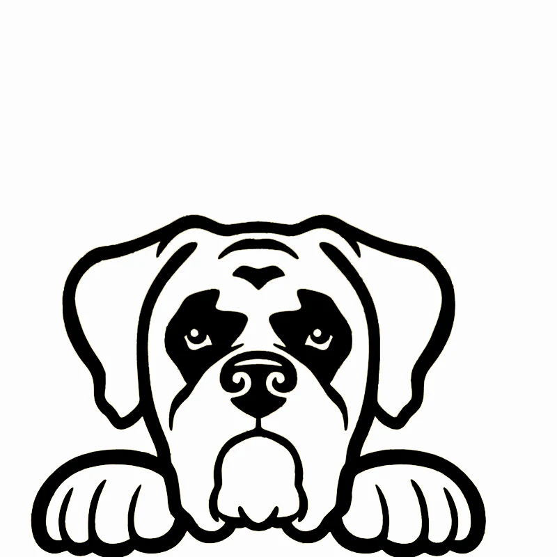 Funny Peeking Boxer Dog Vinyl Sticker for Car Wall Laptop Bumper Decal 