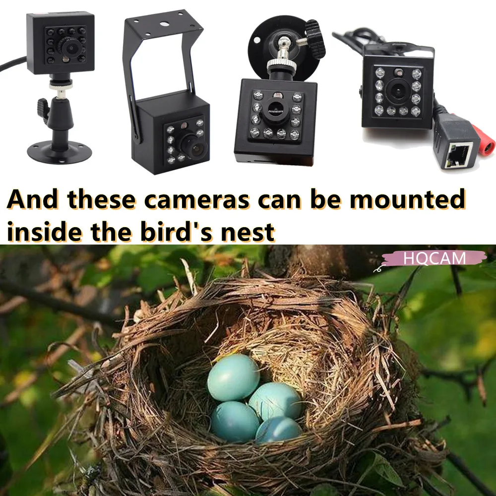 Detecção de Movimento Wi-fi ao ar Cam sem Fio em Ninho de Pássaros e Gaiola Mini Câmera Visão Noturna Livre Cctv Onvif P2p Casa Camhi App ir 9 High Quality Segurança e Proteção
