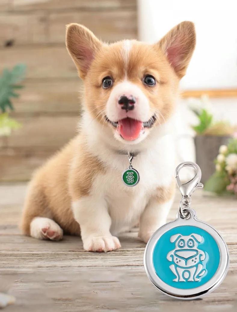 Dog Pattern Pet Collar Zinc Alloy Pet Dog Cat Tag Anti Lost Small Medium Large Dog Cat Collar Pendant Wear Durable Pet Supplies