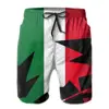 Hot Sale Summer Men Beach Breathable Quick Dry Nerd R333 running ITALY. ITALIAN. Italian Flag. FULL COVER Flag Hawaii Pants 2