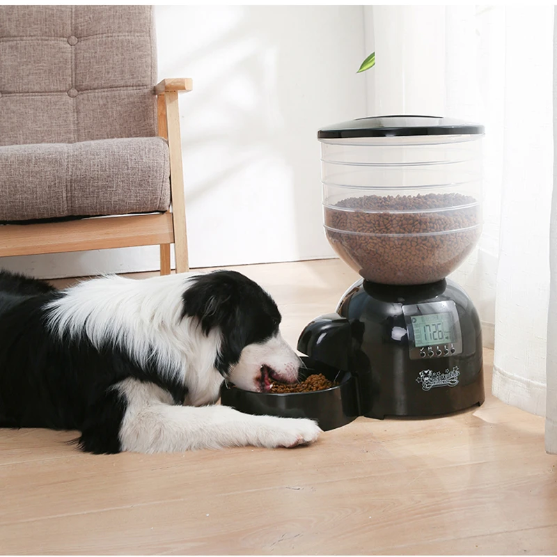 

Dog Timing Quantitative Dog Food Feeder Cat Automatic Cat Food Machine Automatic Feeding Small Automatic Pet Supplies
