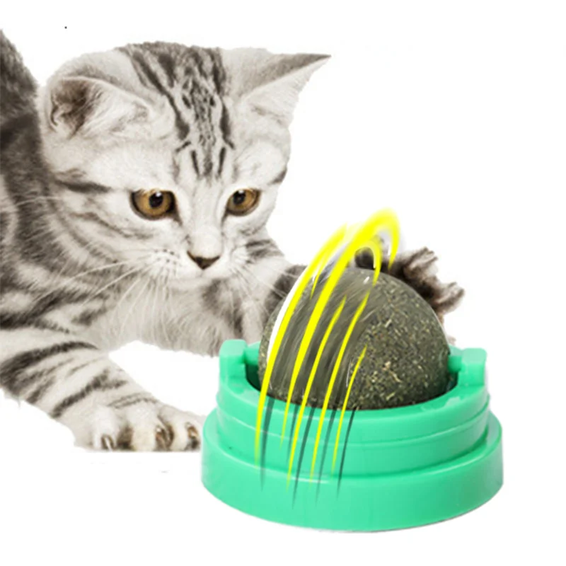 Игрушки для кошек gatos мята домашних животных игрушки кошек|Игрушки| |