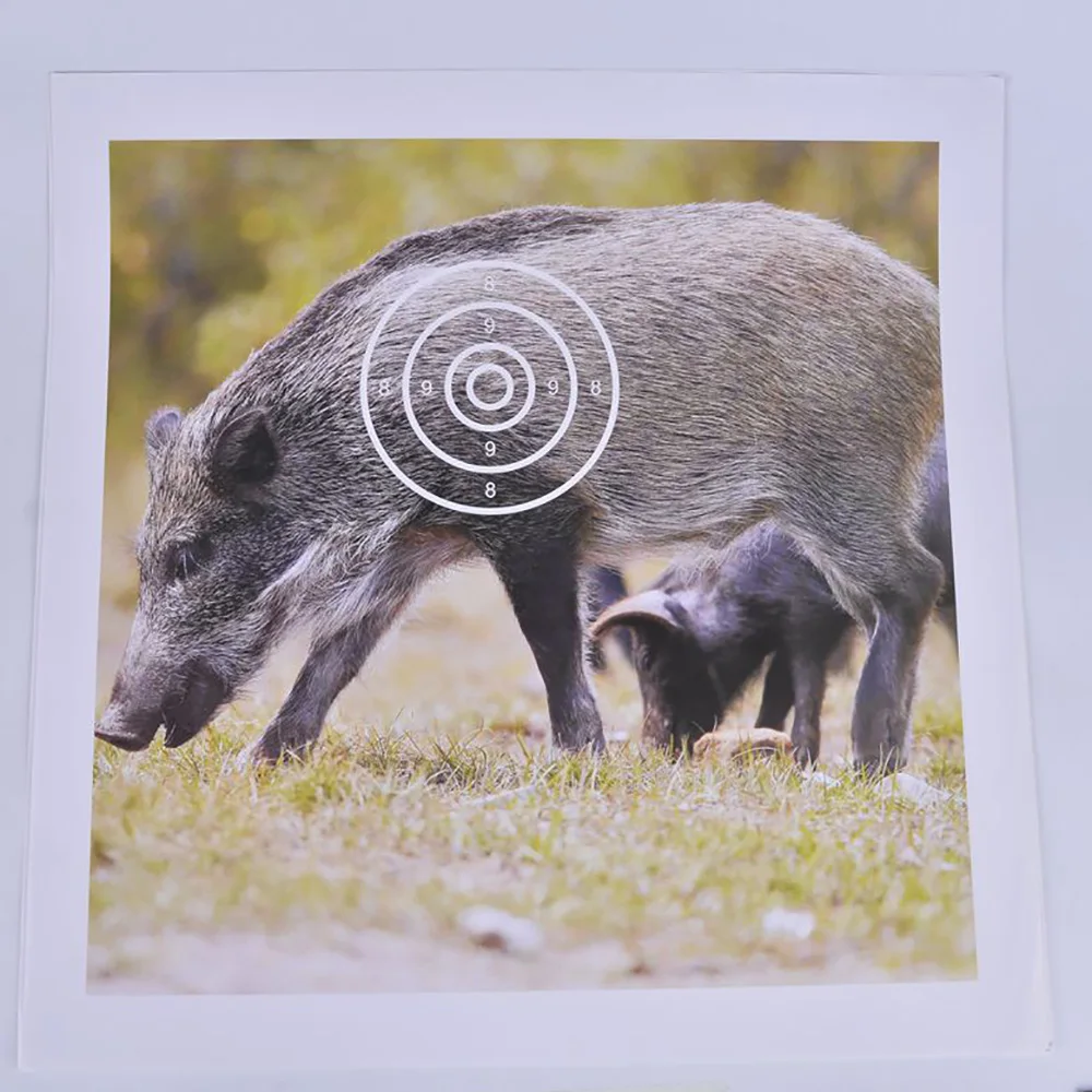 10666155108_1466750872