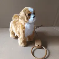 Electronic Plush Dog Toy Robot Cat Sing Song Puppy Leash Control Music Animal Walk Bark Electric Kitten Pet Kids Birthday Gift 1
