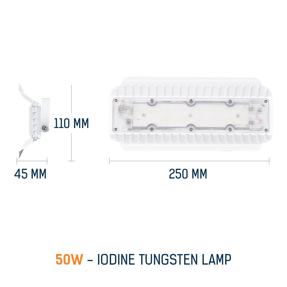 IP66 водонепроницаемый светодиодный вольфрамовый светильник Lodine 50 Вт/100 Вт прожектор AC2200V светодиодный светильник для улицы Точечный светильник s садовый светильник Промышленный светильник - Испускаемый цвет: 50W