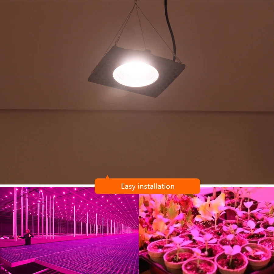 50W LED Grow Light COB Full Spectrum LED Growing Lamp 500W High Luminous Efficiency Phyto Lamps for Plants Grow Tent Greenhouse (9)