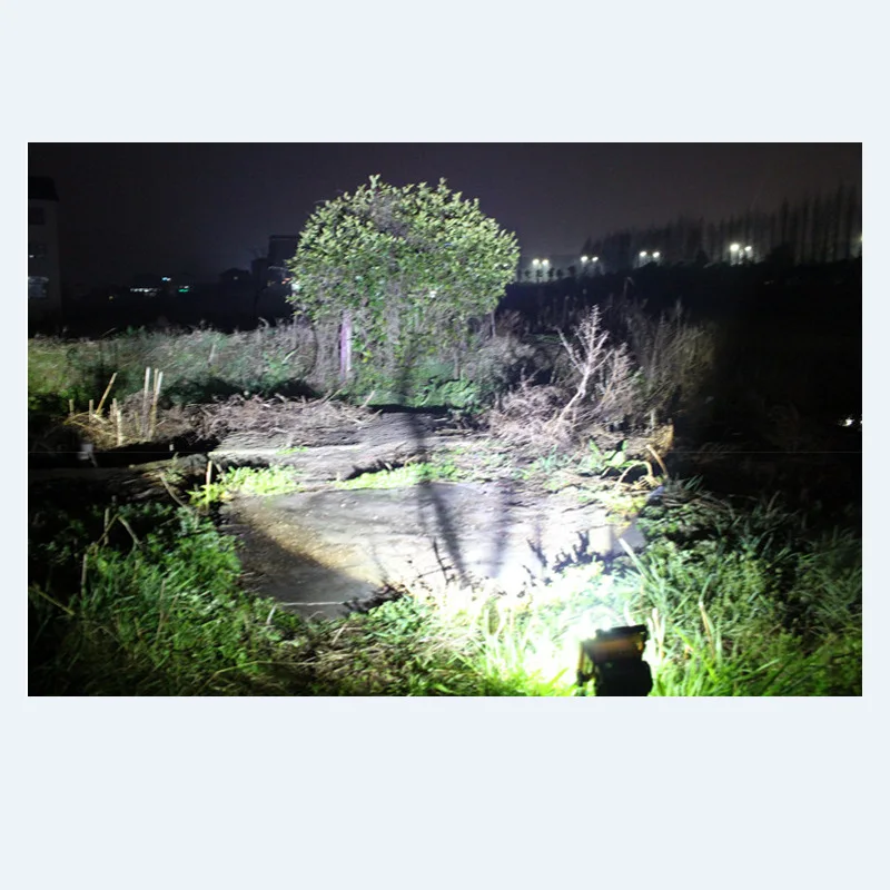 8664746036_1978398805