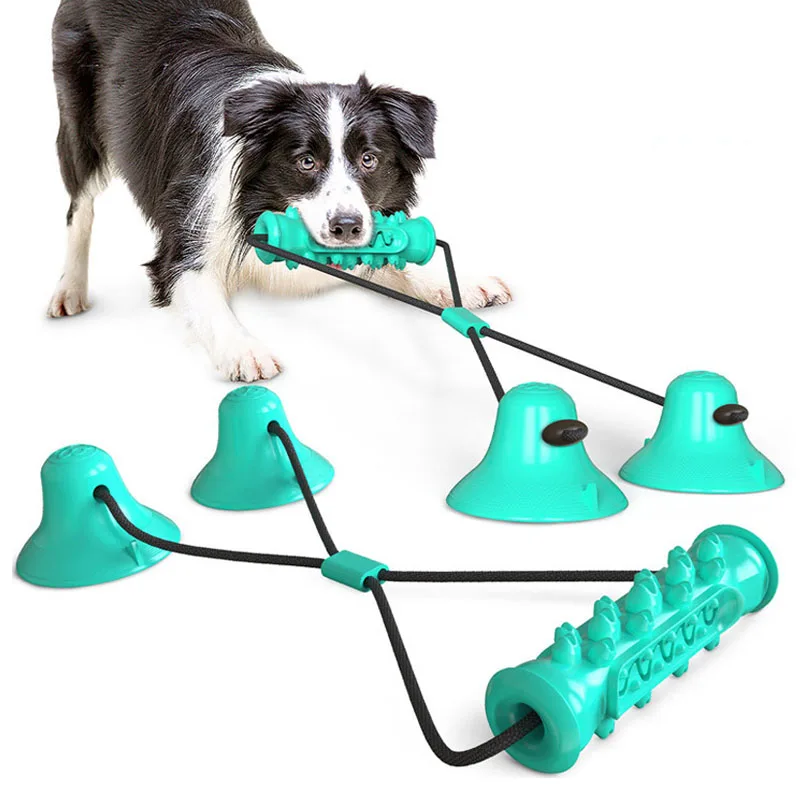 

Dog Molar Toothbrush Toys TPR Chew Cleaning Teeth Safe Elasticity Soft Puppy Dental Care Pet Cleaning Interactive Toys Suppliers