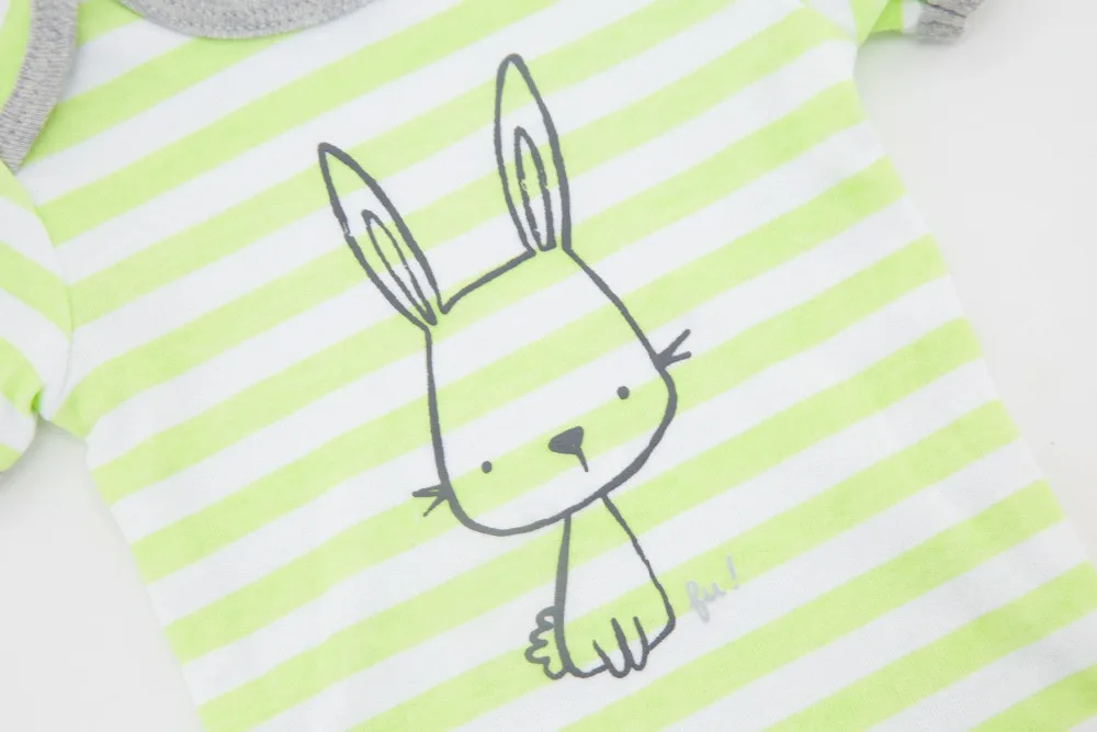 green rabbit 5