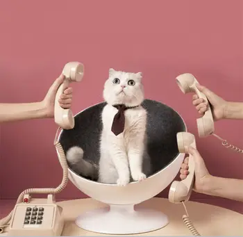 

360 Rotating Cat Nest Cat Boss Rotating Interactive Fiber Lining Simple Pet Bed Small Cats Nest Summer Winter Sleeping Mat