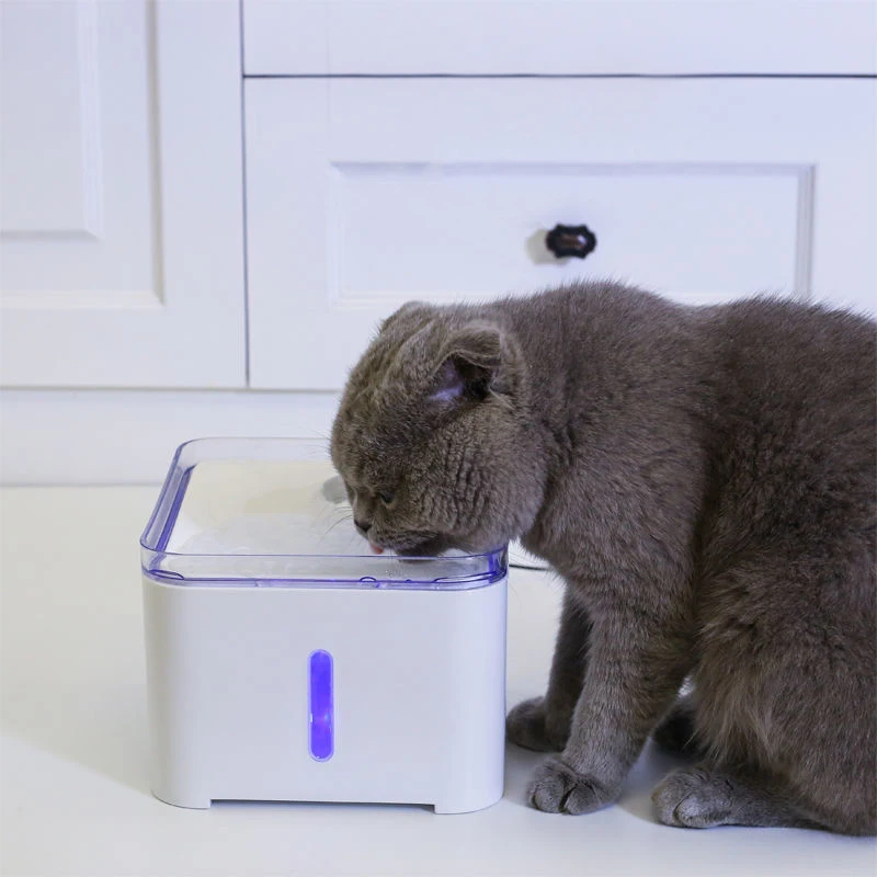 Cat Water Fountain LED Electric Mute Water Feeder USB Constant Temperature Flow Circulation Filter 2L Automatic Drinking Water