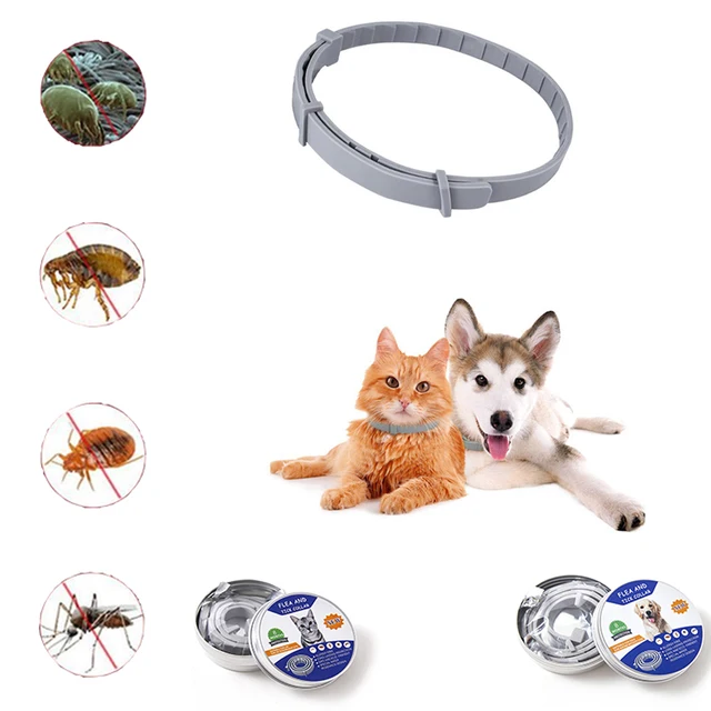38/62cm dog collar flea tick prevention pet cat dogs collars rubber adjustable collar for puppy kitten 8 months dog accessories