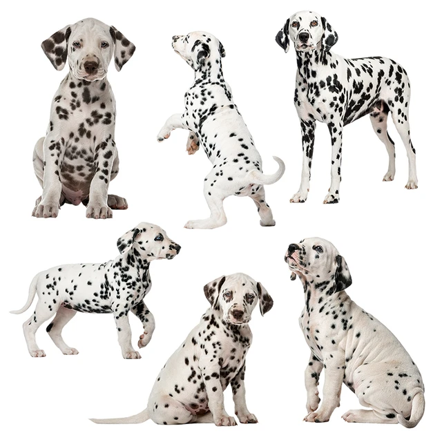 Rolly 101 Dalmatians Sticker Waterproof Vinyl Decal -  Portugal