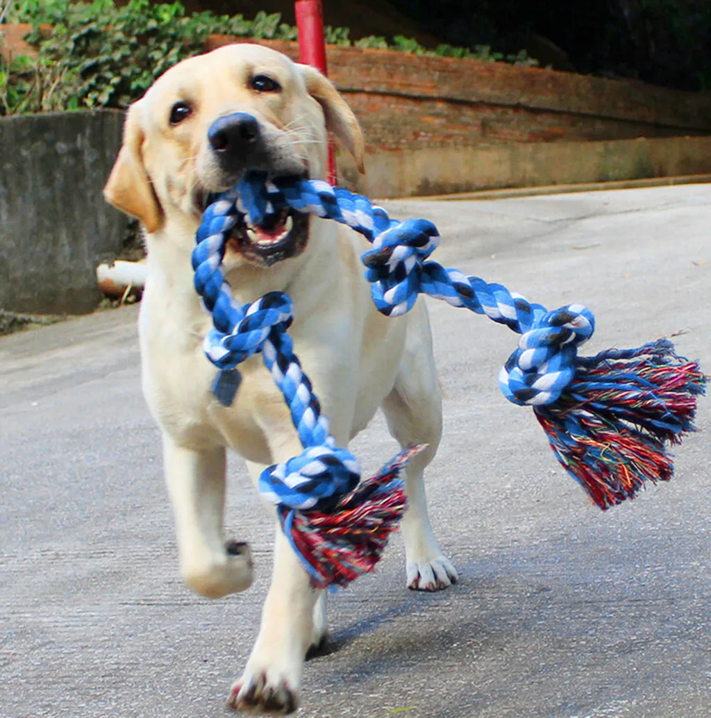 Best Pirce 😍 Mia's Pet Supply Tooth Cleaning Resistance To Bite Pet Toys Training Game 😍 -Cheap Mia's Pet Supply Store Hd7c67e6768e543fca5706622f36f3047g