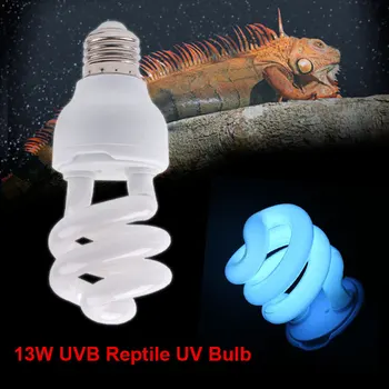 

Bearded Dragon Accessories Reptiles Lizard Reptile UVB E27 AC 220-240V Multi-Kitty Spiral UV Bulbs Breeding Grow Light Screw