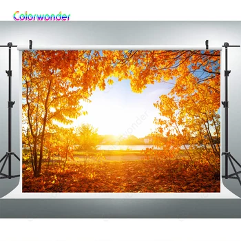 

Photography Backdrop Gold Autumn Maple Forest Nature Landscape Background Rustic Fall Wedding Portrait Photographic Backdrops