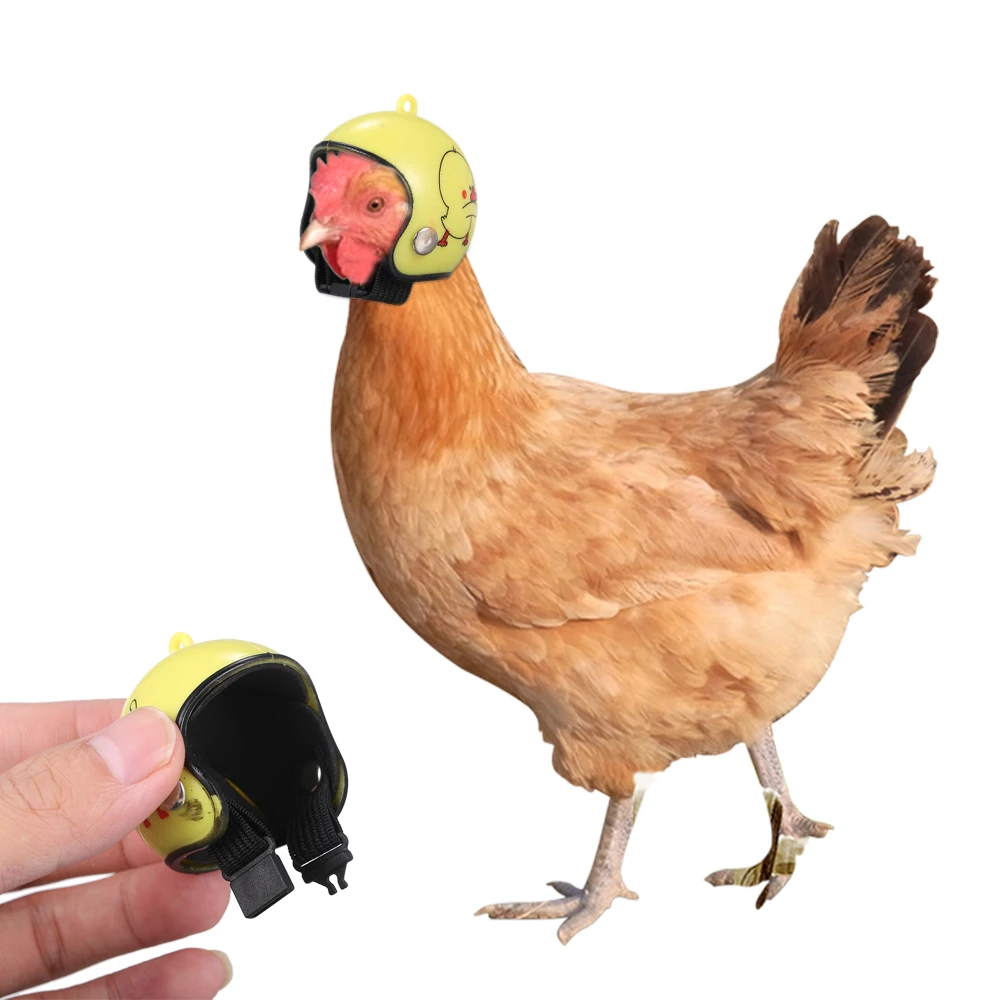 Pet куриные птица шлем мелких животных жесткий шапка головные уборы защитных